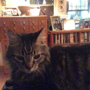 Meet your Posher, Jill